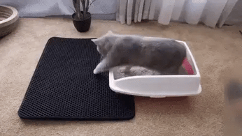 Tapete higiênico com coletor de areia para gatos e cachorros, antiderrapante e lavável