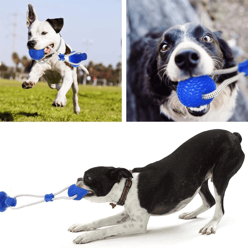 Brinquedo Mordedor Interativo Corda para Cachorro
