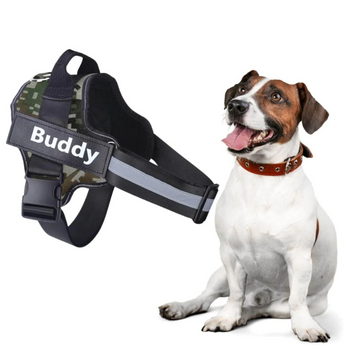 Coleira Peitoral para Pet Personalizável, com faixa refletiva e design seguro, personalizável com nome e telefone