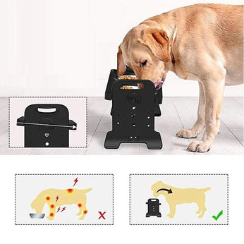 Comedouro Ajustável para Cachorro e Gato, com 2 tigelas de aço inox removíveis, ajustável em 4 alturas, ideal para todas as fases