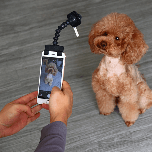 Acessório portátil para selfies com pets

